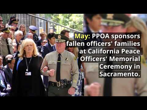2017 Highlights of PPOA