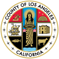 LA County Seeks Alternatives to Deputies on Campuses